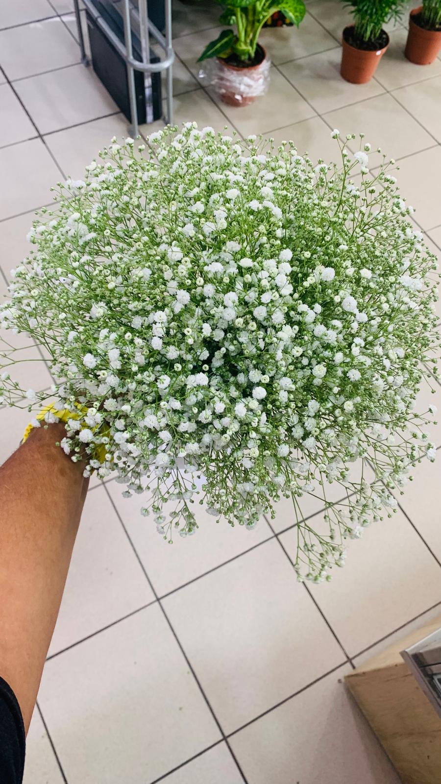 Arranjos Florais — Flowers by Gi 6