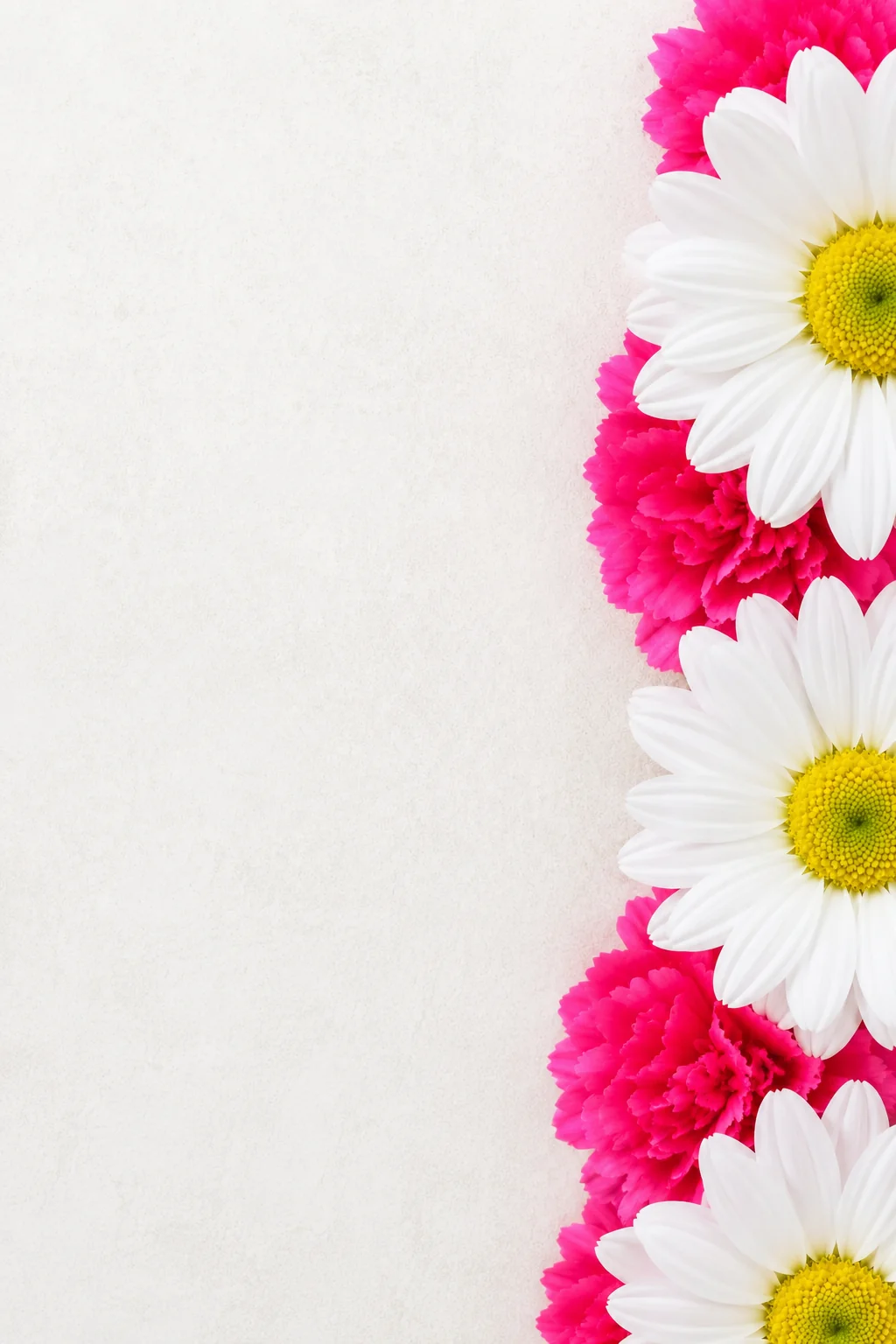 Flores naturais Flowers by Gi