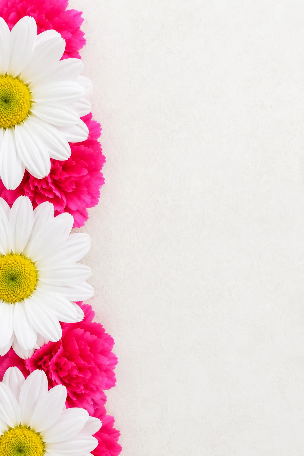 Flores naturais Flowers by Gi
